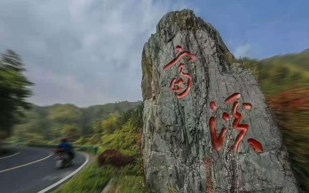 含硒茶叶有哪些(茶叶富含硒)-硒宝网