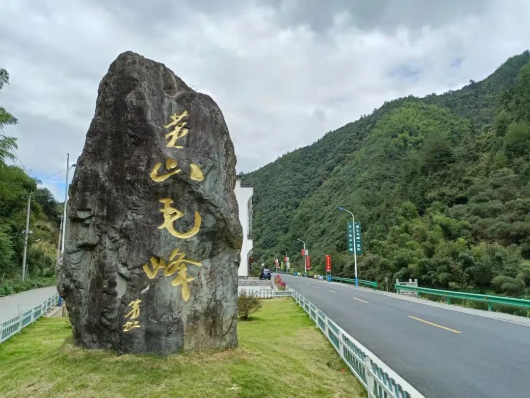 含硒茶叶有哪些(茶叶富含硒)-硒宝网