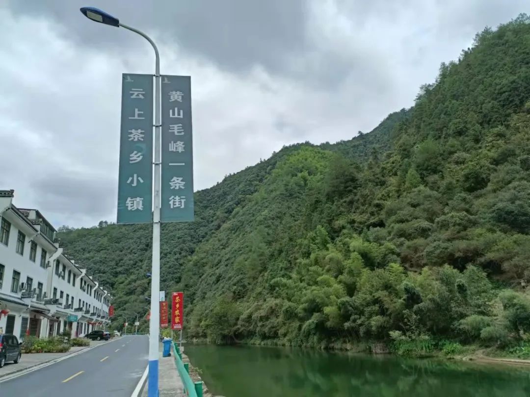 含硒茶叶有哪些(茶叶富含硒)-硒宝网