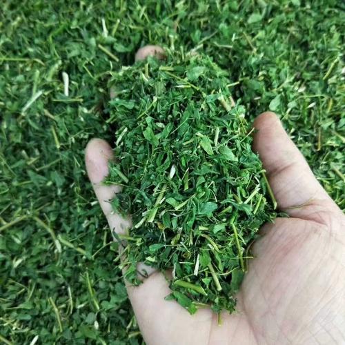 广西相思藤茶（广西灵山相思藤茶价格）-硒宝网