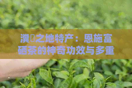 富硒茶多少钱（富硒茶具）-硒宝网