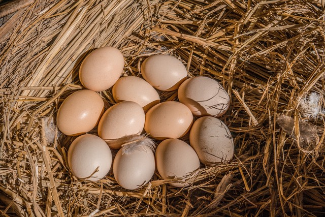 孕期可以补硒吗(孕期补硒可以吗)-硒宝网