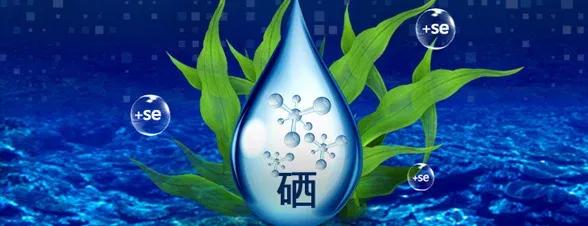 孕期可以补硒吗(孕期补硒可以吗)-硒宝网