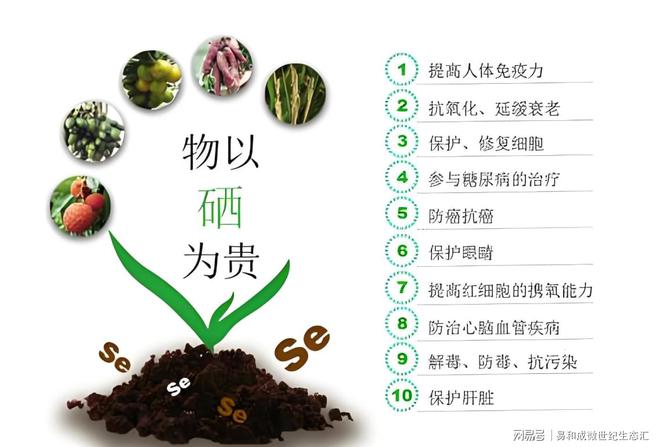 每天补硒100微克（每天补充多少微克硒）-硒宝网