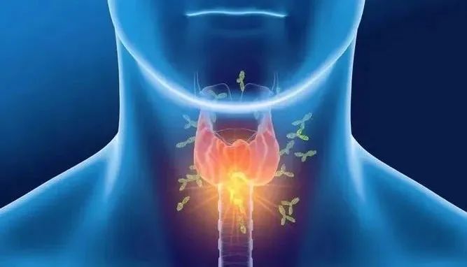 桥本氏甲状腺炎补硒(桥本甲状腺炎吃硒的作用)-硒宝网