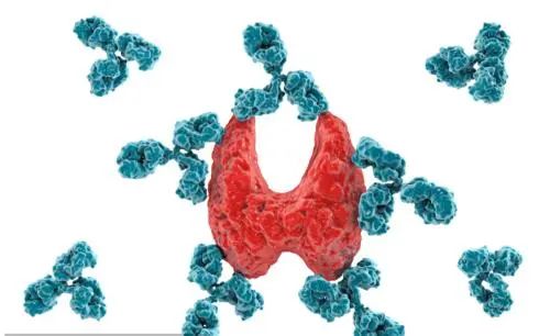 桥本氏甲状腺炎补硒（桥本甲状腺炎吃硒的作用）-硒宝网