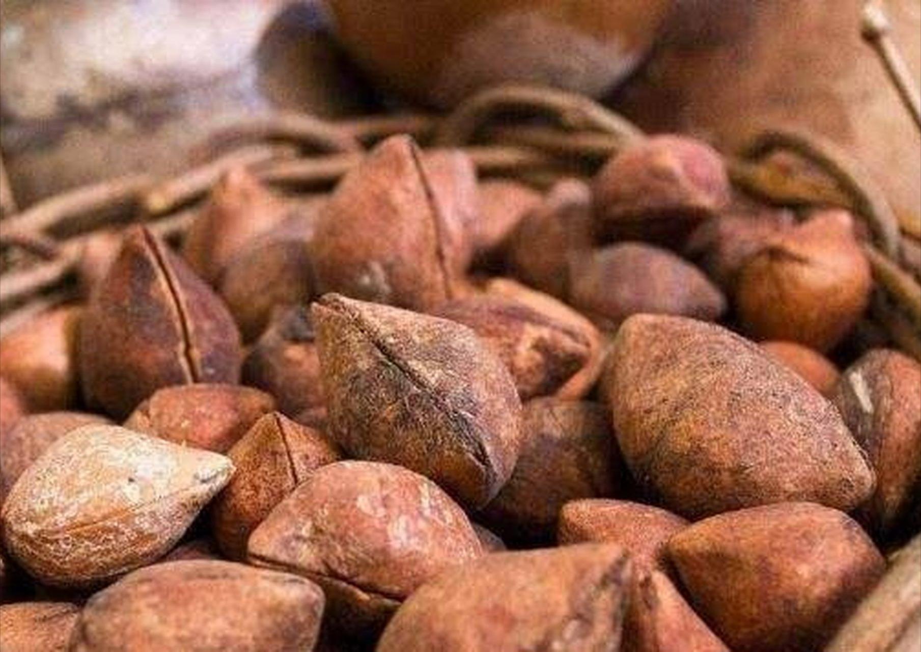 补硒需要注意什么(补硒需要吃什么东西)-硒宝网