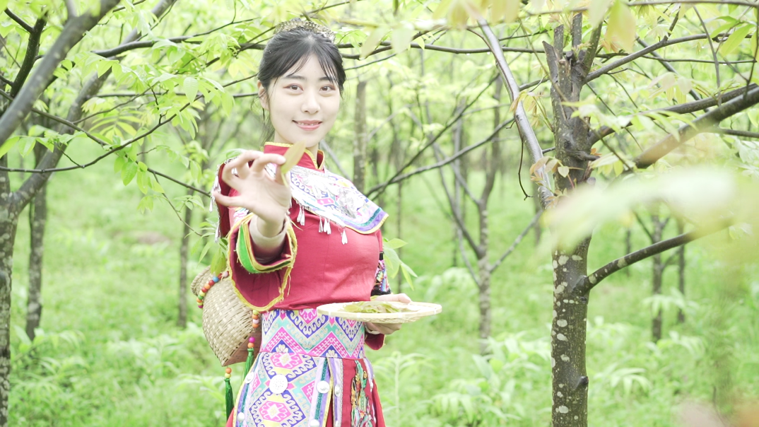 恩施富硒青钱柳（恩施富硒青钱柳茶多少钱一斤）-硒宝网