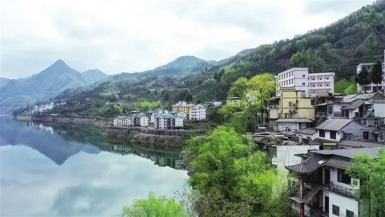 陕西富硒茶产地(陕西富硒茶的功效与作用)-硒宝网