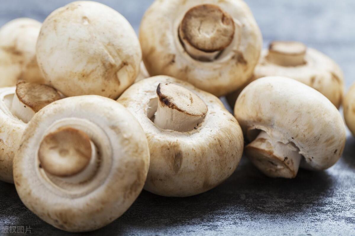 什么保健品补硒效果最好(补硒保健品哪种好)-硒宝网