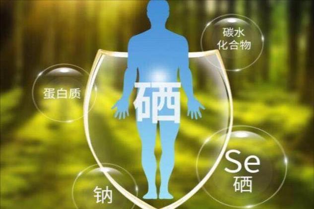 什么叫硒元素,如何补充啊（补充硒元素的作用）-硒宝网