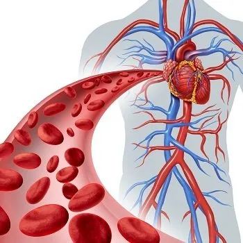 高血压每天补多少硒（每天血压补高硒好吗）-硒宝网