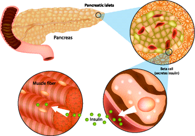 高血压每天补多少硒（每天血压补高硒好吗）-硒宝网