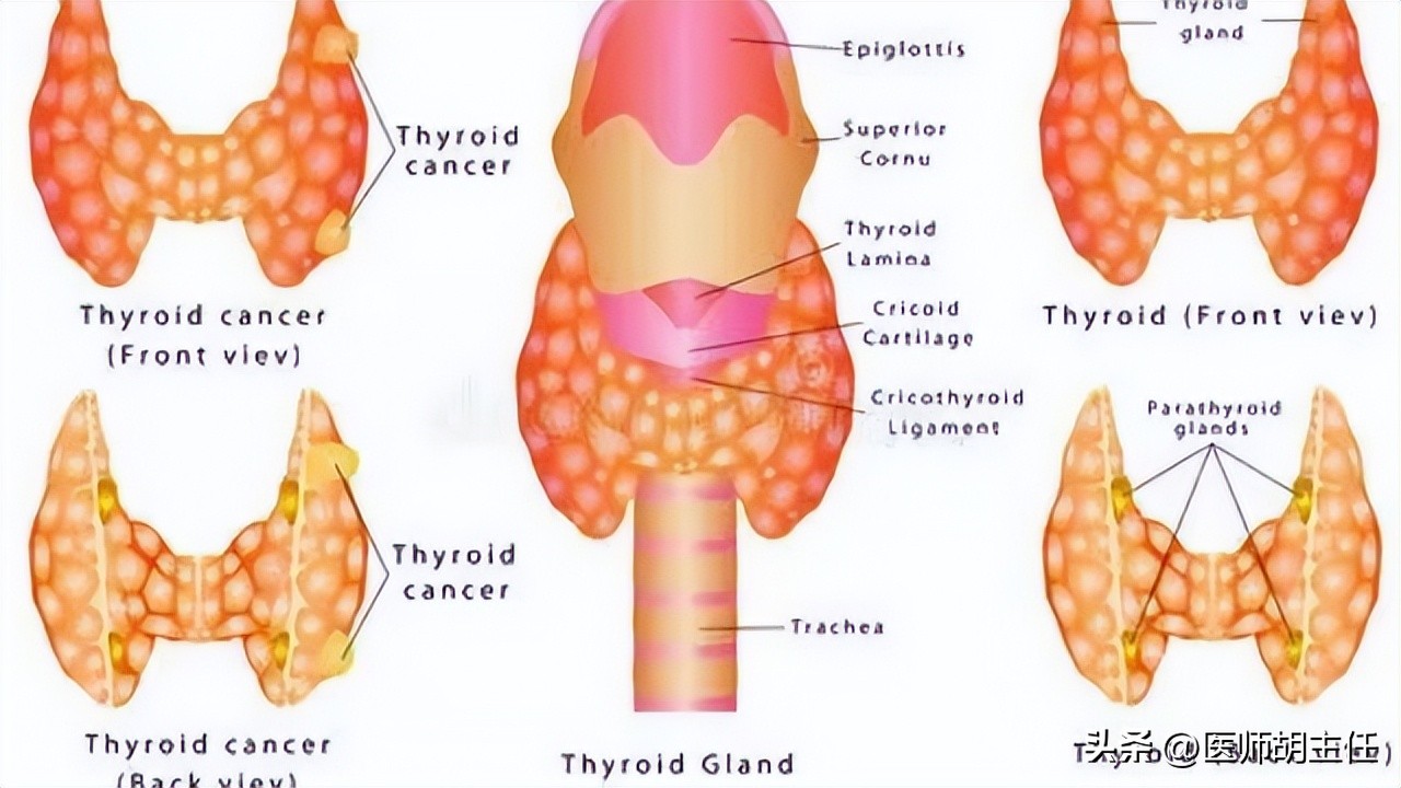 补硒有必要吗(补硒的必要性)-硒宝网