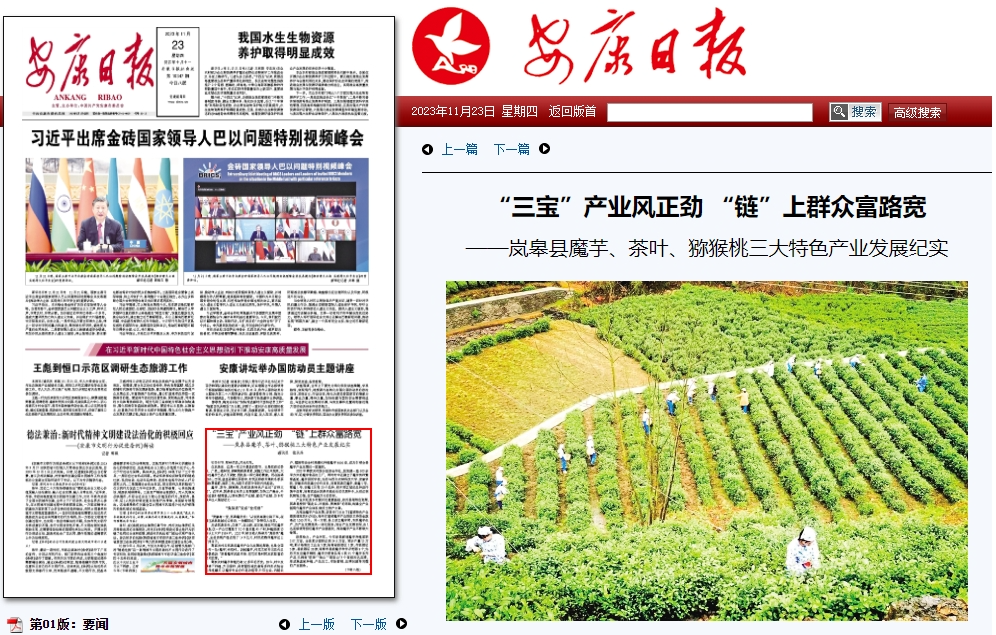 安硒山安康富硒茶(安康富硒茶多少钱一斤汗水晨雾)-硒宝网