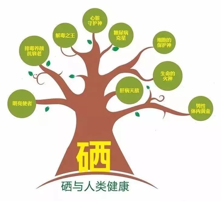 硒元素的作用（元素硒是什么）-硒宝网