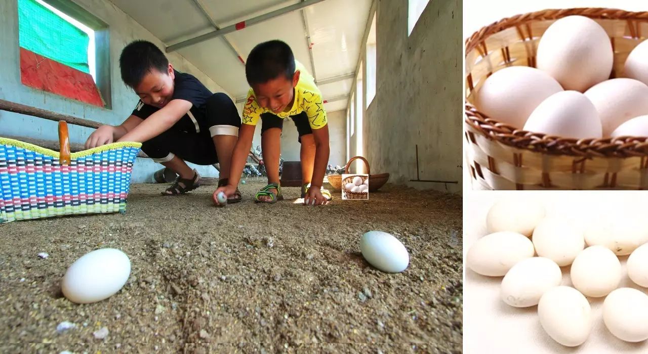 富硒五谷产品(五谷富硒产品介绍)-硒宝网