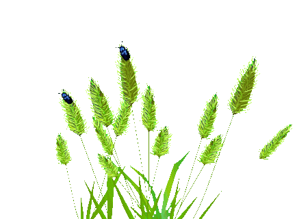 贵州富硒产品（贵州特色畜产品网络投票）-硒宝网