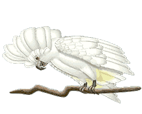 贵州富硒产品（贵州特色畜产品网络投票）-硒宝网