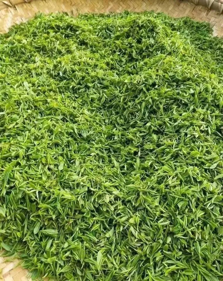 绿紫阳富硒茶(秦巴山区茶叶)-硒宝网