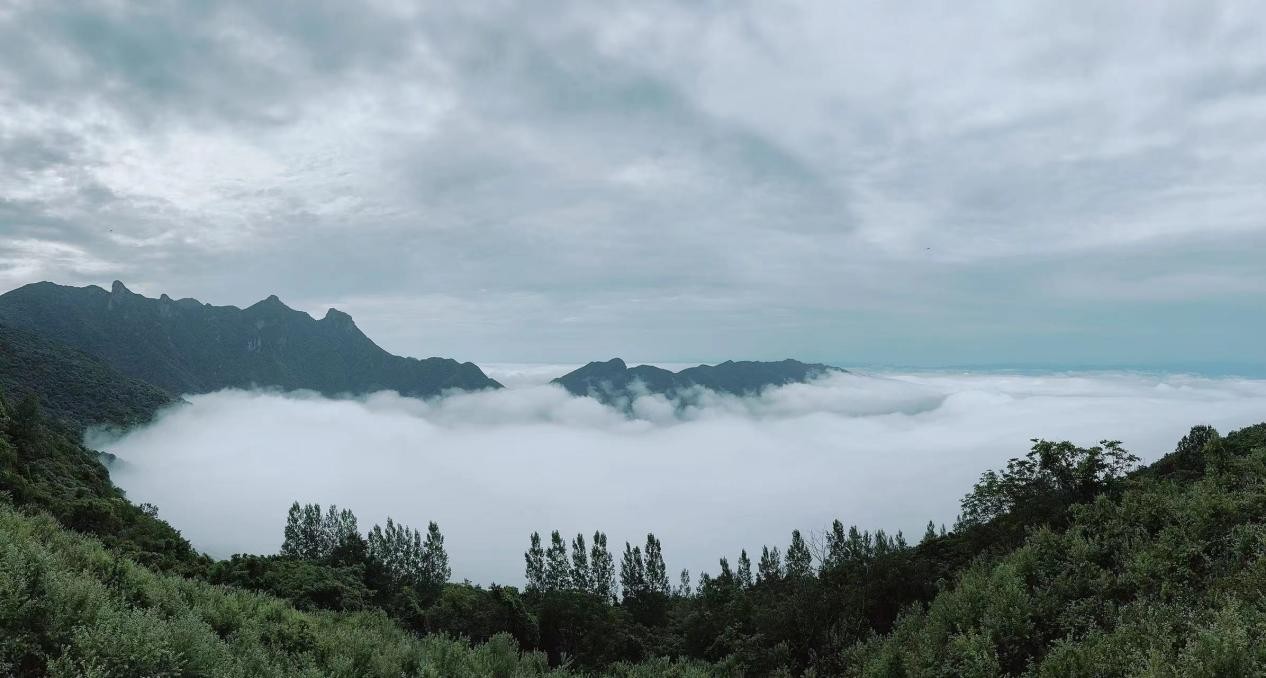 汉阴富硒大米(古梯田生态智慧)-硒宝网