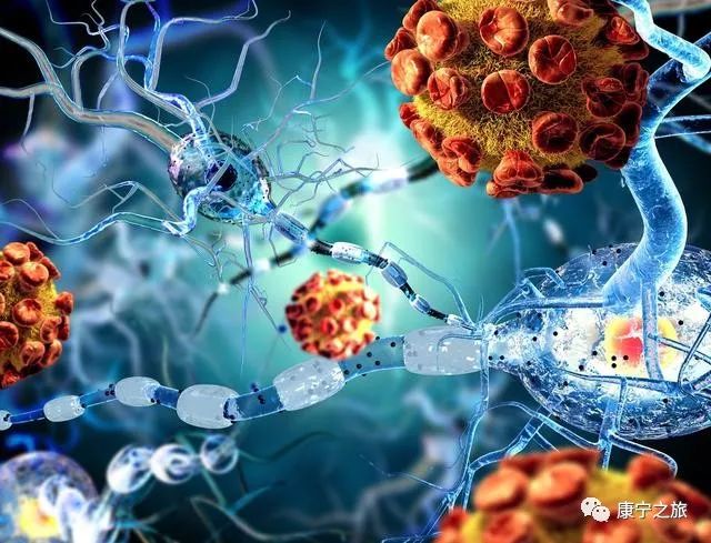 富硒什么意思（硒与维生素E抗氧化）-硒宝网