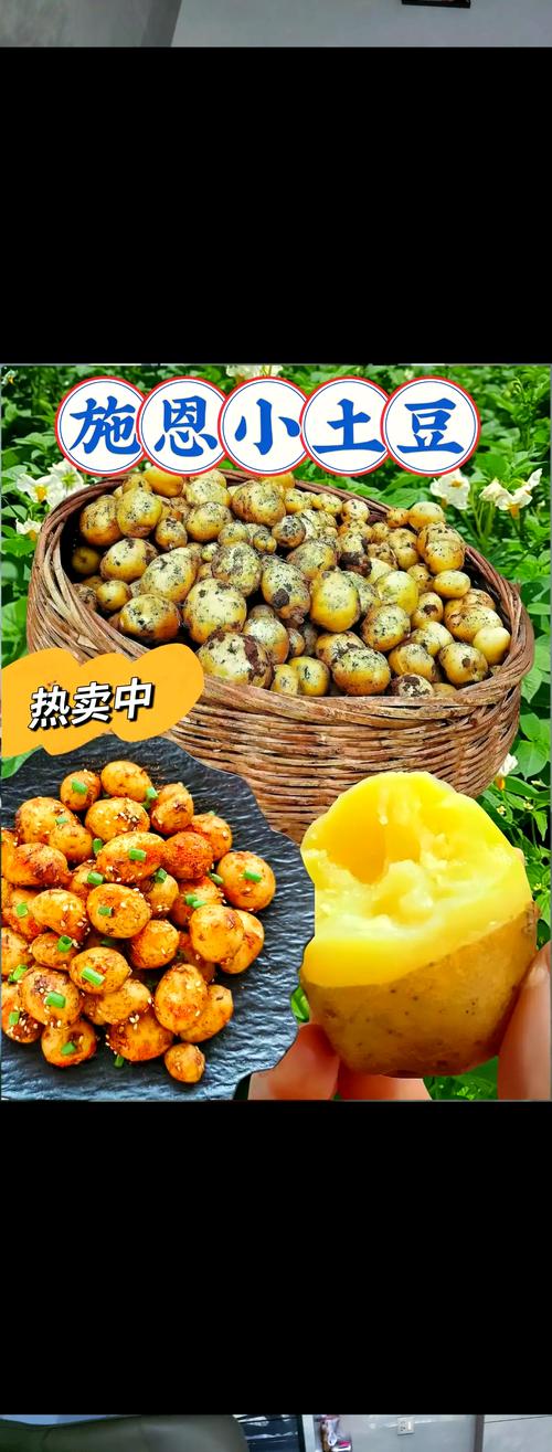 恩施富硒土豆（恩施小土豆烹饪方法）-硒宝网