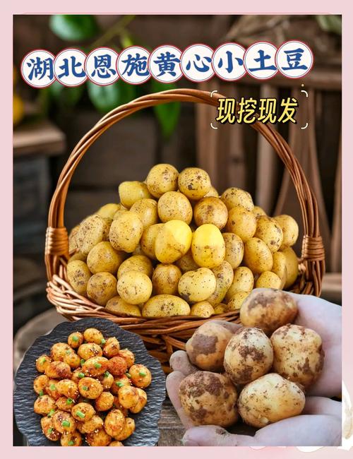 恩施富硒土豆（恩施小土豆烹饪方法）-硒宝网