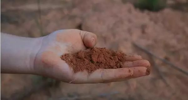 恩施的富硒茶(野三关镇硒矿石带)-硒宝网