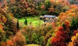 恩施的富硒茶(野三关镇硒矿石带)-硒宝网