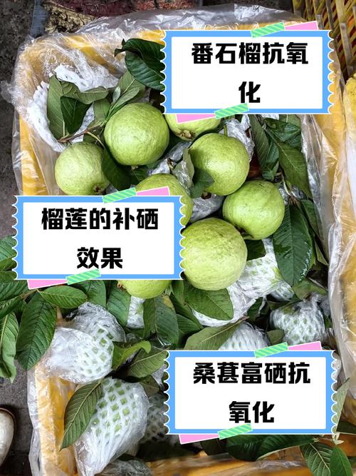 富硒水果标准（富有机硒食品认证标准）-硒宝网