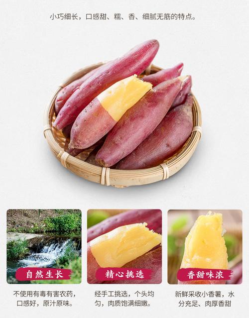 桥头富硒地瓜(桥头地瓜营养价值)-硒宝网