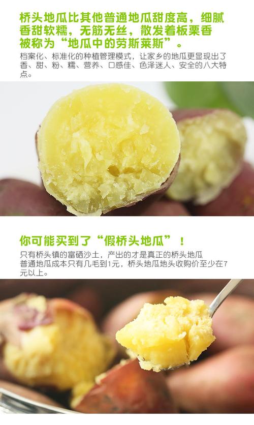 桥头富硒地瓜(桥头地瓜营养价值)-硒宝网