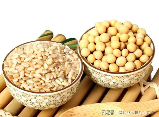 人需要补硒吗(补硒食物推荐)-硒宝网