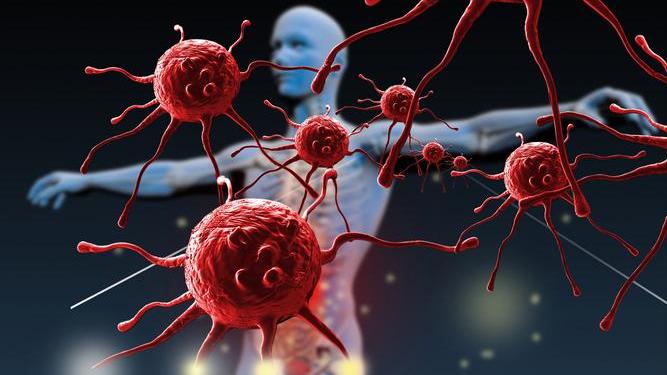 锌硒宝多少钱(中年男性补锌食物推荐)-硒宝网