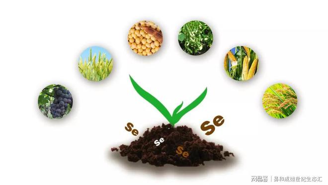 人需要补硒吗(营养不均衡健康问题)-硒宝网