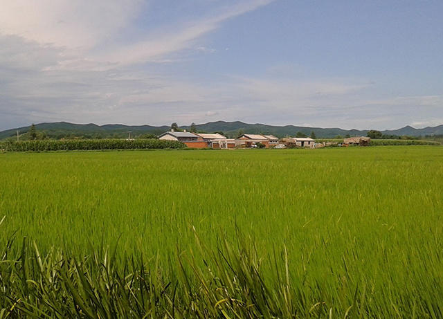 贵州富硒大米（富硒大米营养价值）-硒宝网