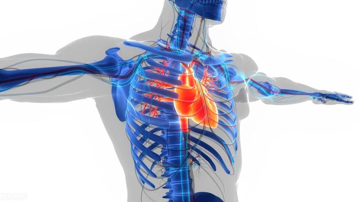 甲状腺炎补硒(硒元素重要性)-硒宝网