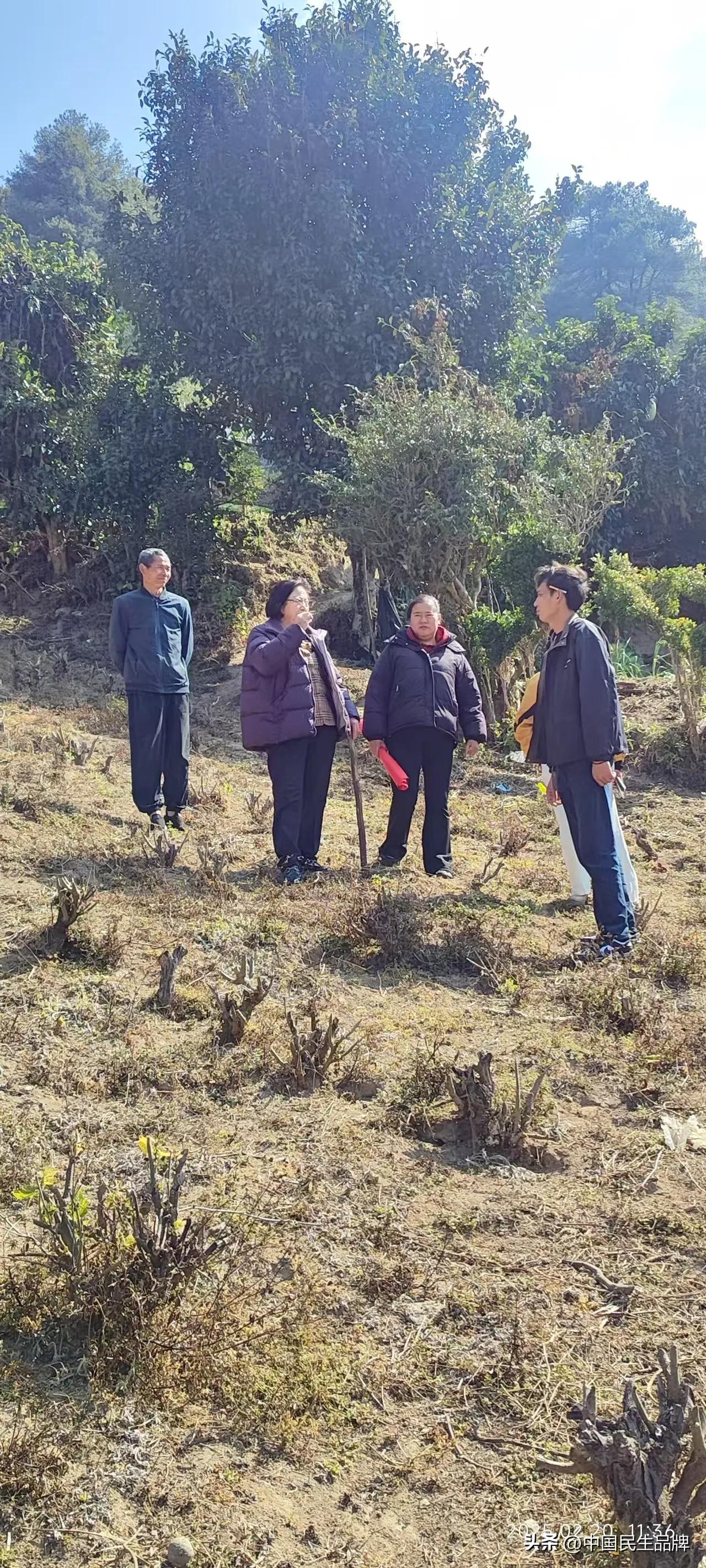 富硒贡茶价格(胡氏荣茶产业园精准扶贫)-硒宝网