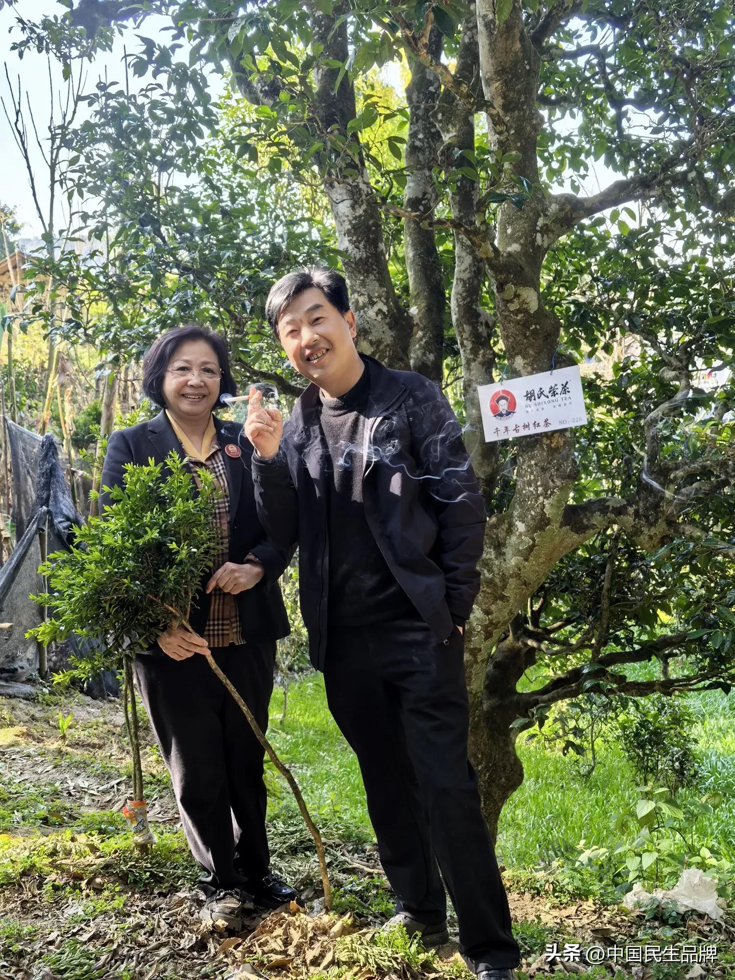 富硒贡茶价格(胡氏荣茶产业园精准扶贫)-硒宝网