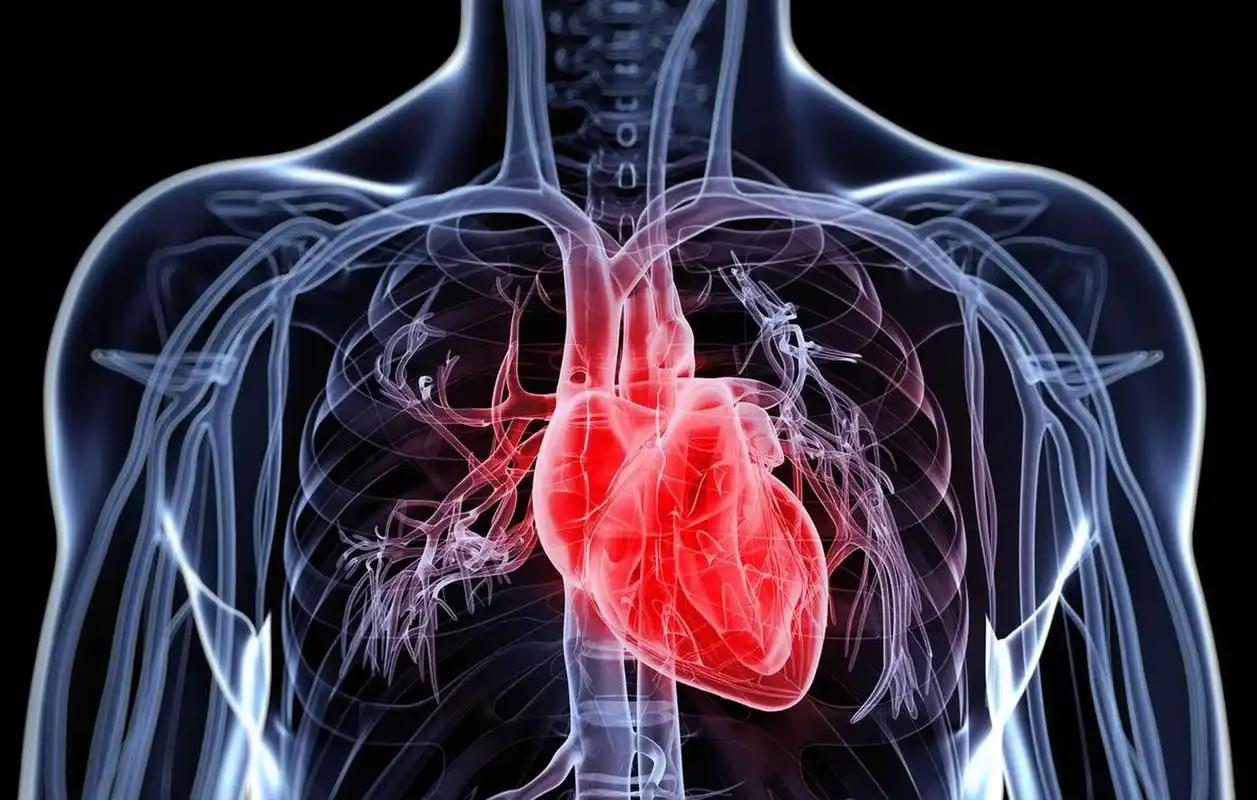 甲状腺炎补硒（硒对心脏健康的作用）-硒宝网