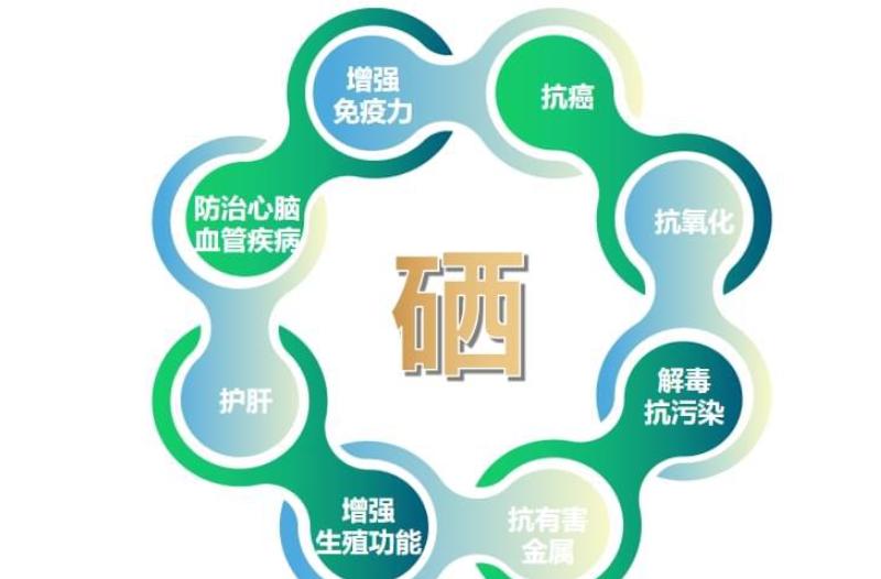 甲状腺炎补硒（硒对心脏健康的作用）-硒宝网