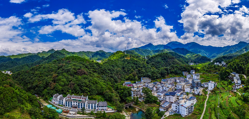 仙寓山富硒茶(仙寓镇康养旅游项目投资)-硒宝网