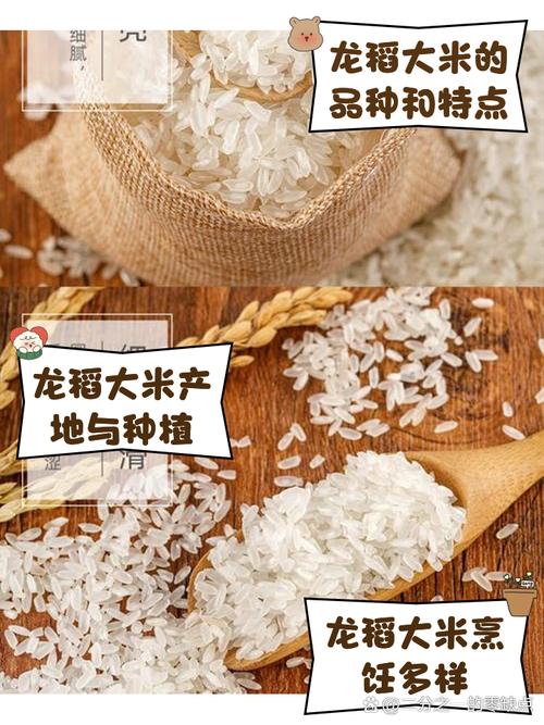 龙游富硒大米(龙游富硒大米基地)-硒宝网