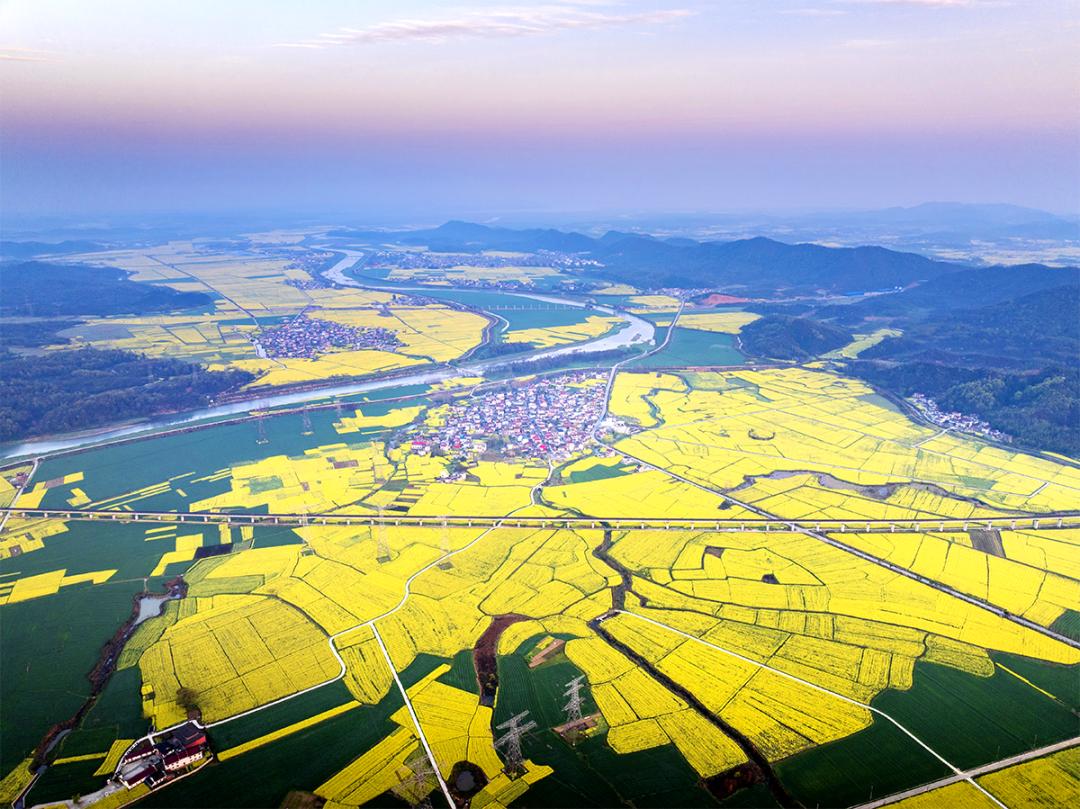 石台富硒野茶(池州富硒农产品产业)-硒宝网