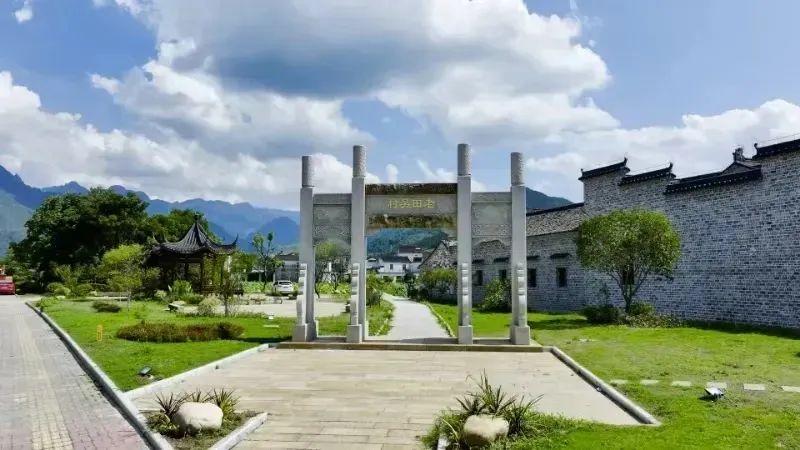 石台富硒野茶(池州富硒农产品产业)-硒宝网