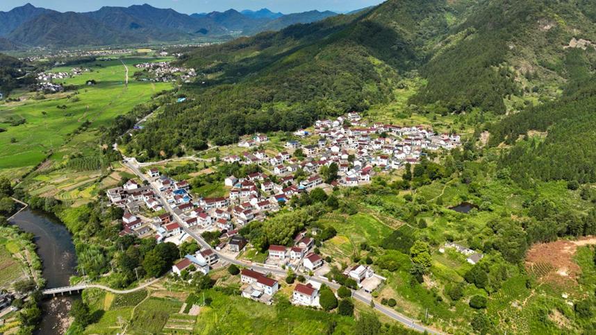 石台富硒野茶(池州富硒农产品产业)-硒宝网