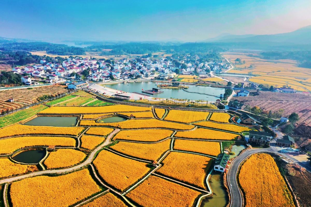 富硒村在哪里(电动喷雾器叶面补硒技术)-硒宝网