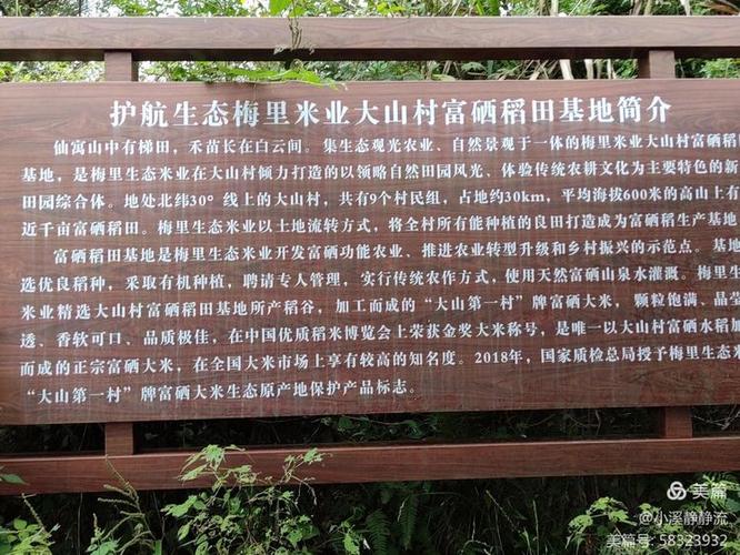 仙寓富硒野茶(富硒食品种植基地)-硒宝网