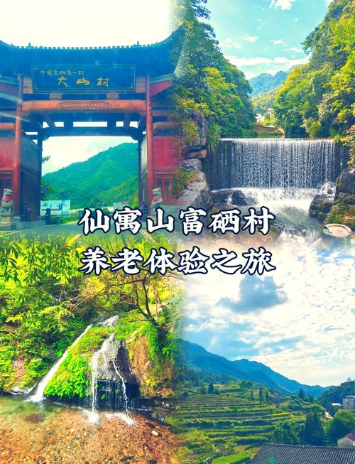 仙寓富硒野茶(富硒食品种植基地)-硒宝网